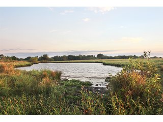 Tract 8 - LAND AUCTION - 440+/- Acres offered in 15 Tracts in Tulsa County